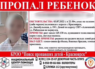 Мать потерявшегося в Красноярске 7-летнего ребенка привлекли к административной ответственности 