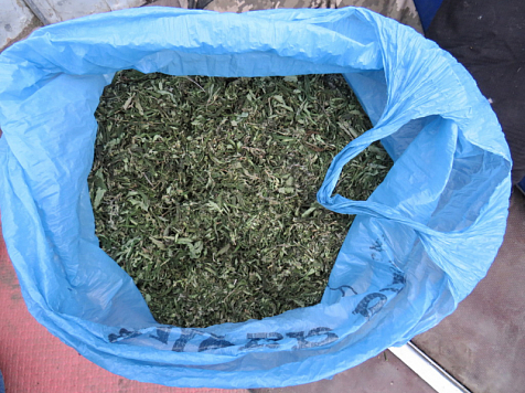 В Красноярском крае у мужчины изъяли более килограмма марихуаны . Фото: МВД