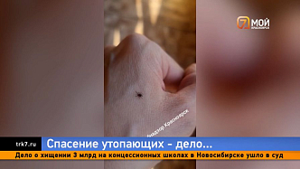 Минздрав Красноярского края объяснил нежелание бесплатно вакцинировать от клещевого энцефалита