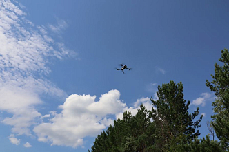 Красноярский край покрыли сетью камер для борьбы с лесными пожарами