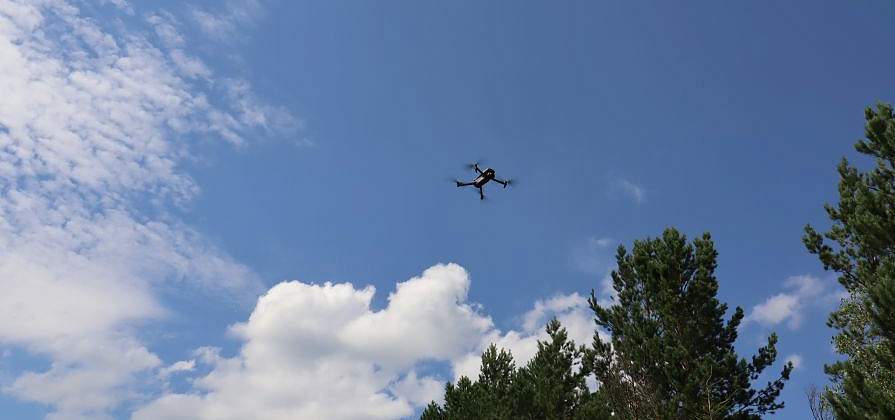 Красноярский край покрыли сетью камер для борьбы с лесными пожарами