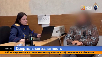 В Красноярском крае за халатность будут судить ответственную за отлов бродячих собак
