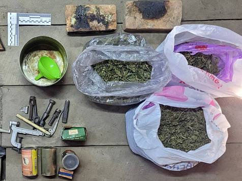 В Красноярском крае мужчина выращивал наркосодержащие растения в огороде. Фото: МВД 24