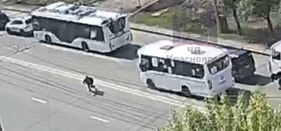 Красноярец попал под автобус и сбежал с места аварии необычным способом