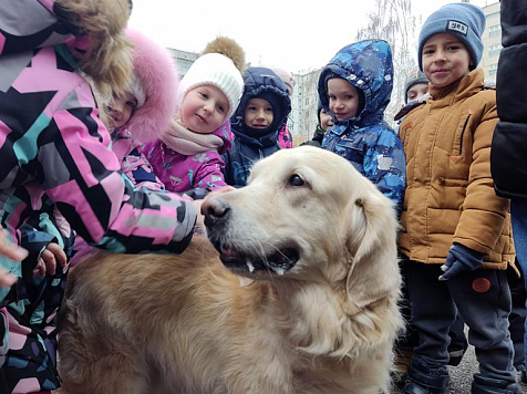 В красноярский детский сад «Сибирята» пришли собаки-терапевты и кинологи. Фото: мэрия
