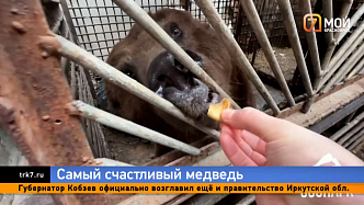 Медведь Степан, который годами жил в тесной клетке, переехал в шикарные апартаменты