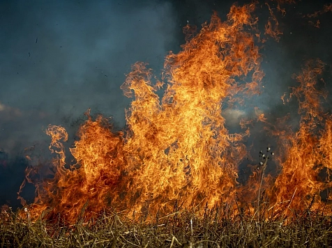 В Красноярском крае готовятся к пожароопасному сезону. Фото: Pixabay