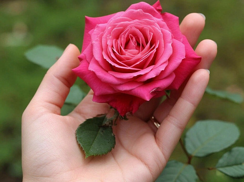 Ачинец «слил» обнаженные фото своей девушки и попал под статью . фото: Шедеврум