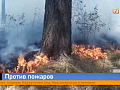 Особый противопожарный режим ввели на территории Красноярского края