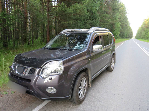 Забор раздора: в Железногорске мужчина попытался застрелить из ружья своих пожилых соседей по даче. Фото: ГСУ СК по краю и Хакасии