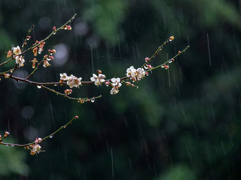 В Красноярске на предстоящих выходных ожидается похолодание до +8°. Фото: ru.freepik.com