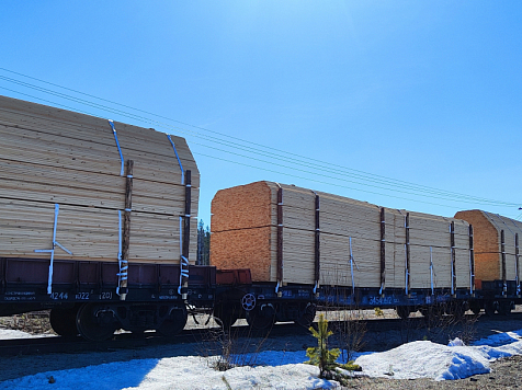 В Красноярском крае продолжается сокращение лесной отрасли. Фото: Сибирская таможня