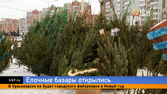 Как сохранить надолго свежесть и аромат живой ёлки, рассказали красноярские продавцы
