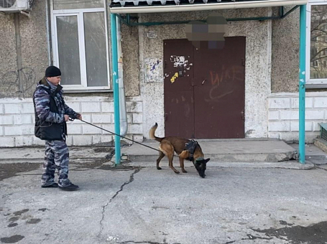В Ачинске служебный пес Зигер помог в раскрытии кражи 145 тысяч рублей. Фото: МВД