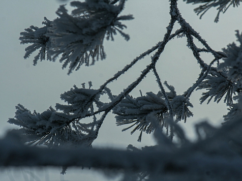 Снег решил вернуться в Красноярск посреди апреля. Фото: JN Photos