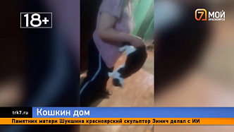 Калечит и не отдаёт —  красноярские волонтёры пытаются вызволить кошек из квартиры на Читинской