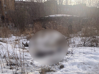 Стала известна личность погибшей в снегу на территории красноярской БСМП женщины
