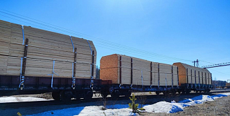 В Красноярском крае продолжается сокращение лесной отрасли