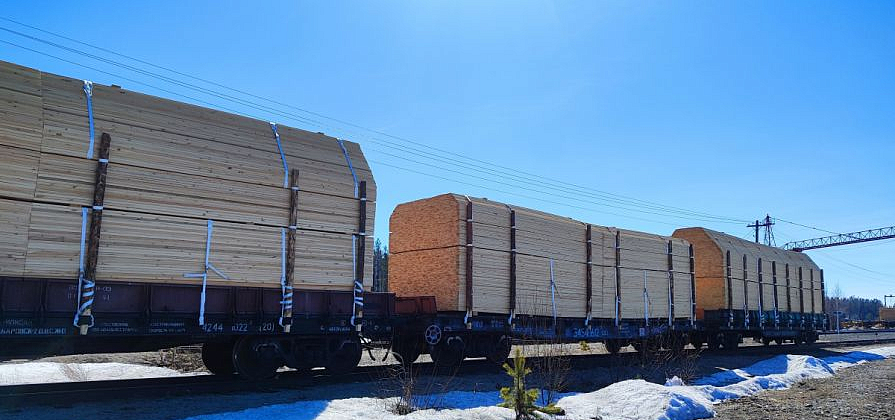 В Красноярском крае продолжается сокращение лесной отрасли