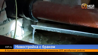 В Красноярске невыносимая вонь и смрад довели жителей новостройки до Кремля