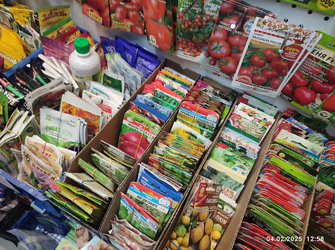 Как выбрать семена на весну: советы дачникам от красноярских экспертов. Фото: Управление Россельхознадзора по Красноярскому краю