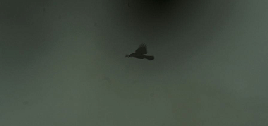 В Красноярске объявили короткий режим НМУ