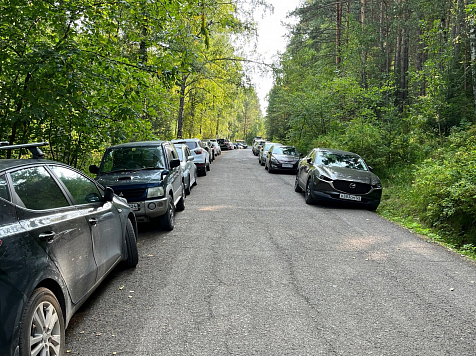 Автомобилисты вновь устраивают хаотичную парковку на «Красноярских Столбах» . Фото: vk.com/npkrasstolby