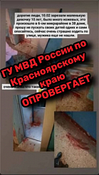 Сообщение об убийстве 10-летней девочки из Шарыпово опровергли в МВД Красноярского края