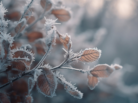 В Красноярске в День народного единства потеплеет до -3°C. Фото: ru.freepik.com