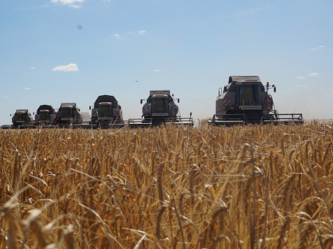 Сибирским аграриям дали скидку на экспорт зерна по железной дороге. Фото: минсельхоз РФ