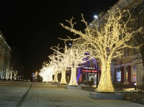 Красноярцам вернут светящиеся деревья. <i>Фото Администрация Красноярска</i>