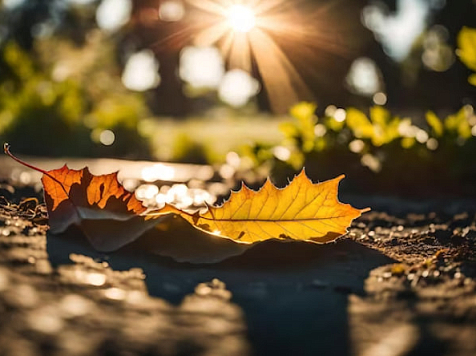 В Красноярске 12 сентября ожидается переменная облачность и до +21°C. Фото: ru.freepik.com