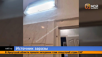 Больной повар и тараканы на кухне — красноярскую столовую оштрафуют за вспышку вируса