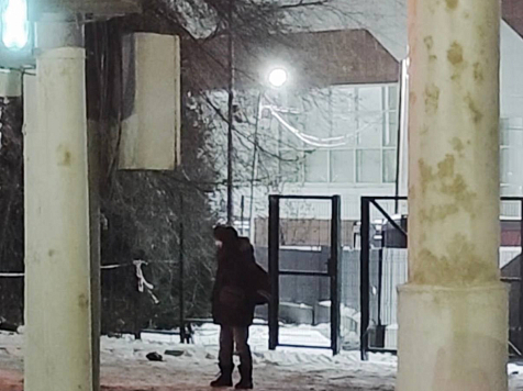 "Если человек потерялся ночью, почти наверняка он до утра не доживёт": замерзающих в сугробах красноярцев будут спасать волонтеры отряда «Лиза Алерт». Фото: ДПСО "Лиза Алерт"