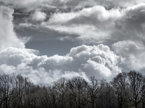 На Красноярск надвигается гроза и сильный ветер. Фото: Freepik