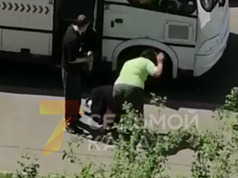 В Красноярске кондуктор избила пассажирку, вытолкав её из маршрутки (осторожно, видео 18+)					     title=