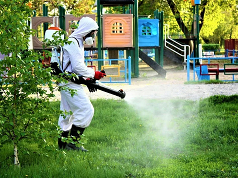 В Туве отмечен резкий рост активности клещей. Фото: правительство&nbsp;РТ