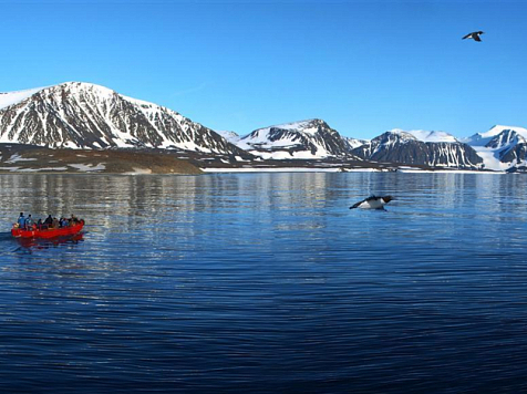 Ракетные удары по Ирану могут повлечь ухудшение экологии в Арктике. Фото: национальный парк "Русская Арктика"