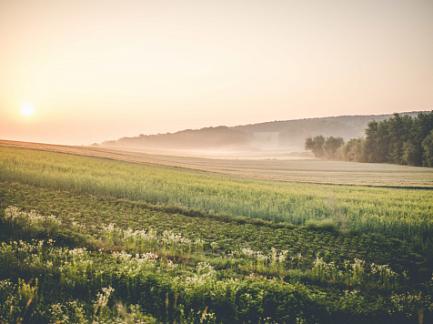 В Красноярске днём ожидается потепление до +27°С. Фото: ru.freepik.com