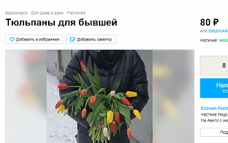 Красноярка предлагала купить завядшие тюльпаны и кинуть их в лицо бывшей