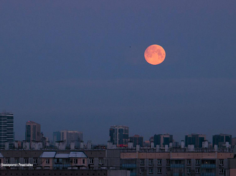 Красноярцы увидят «Волчью Луну» уже 3 января