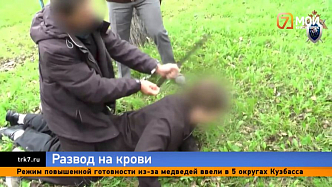Кровавое имущество — любовник убил мужа красноярки, чтобы не делить нажитое при разводе