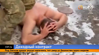 Горько! Ачинский «купидон-аферист» обдирал зэков-СВОшников до нитки
