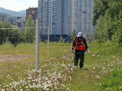  В Красноярске начали благоустраивать пляж на о. Отдыха. Что там появится. Фото: администрация Красноярска