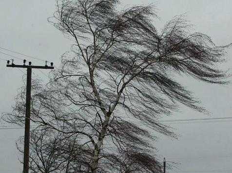 Красноярцев ждёт резкое потепление, а вслед за ним похолодание. Фото: КГКУ «Спасатель»