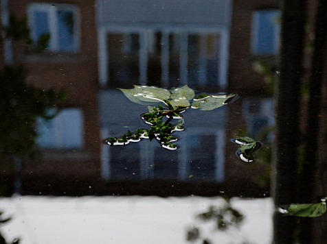 Жара сменяется ливнями: прогноз погоды в Красноярске на рабочую неделю. Фото: Иван Нечаев / «7 канал Красноярск»