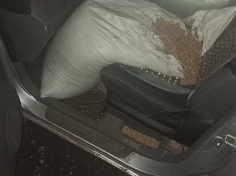 Полицейские в Красноярском крае задержали двух аграриев, укравших 800 кг зерна. Фото: МВД