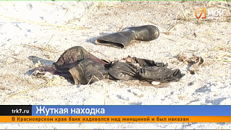 На окраине Красноярска нашли тело мужчины, покусанное собаками