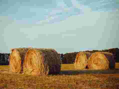 Медики собрали дачникам бюджетный вариант аптечки: список лекарств. фото: Полина Якимова