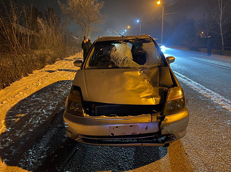 Водитель «Хонды» из Красноярского края насмерть сбил пенсионера. Фото: 24 ГОСАВТОИНСПЕКЦИЯ
